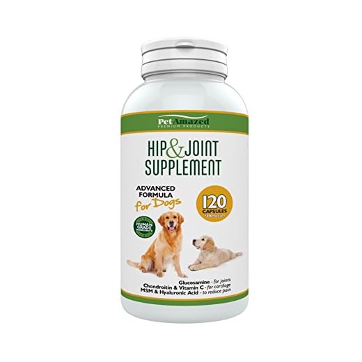 Suplemento avanzado para perros cadera y articulaciones 120 cápsulas Glucosamina HCL, Condroitina, MSM, Vitamina C y ácido Hialurónico - Hecho en el Reino Unido. PetAmazed mejor alivio del dolor na