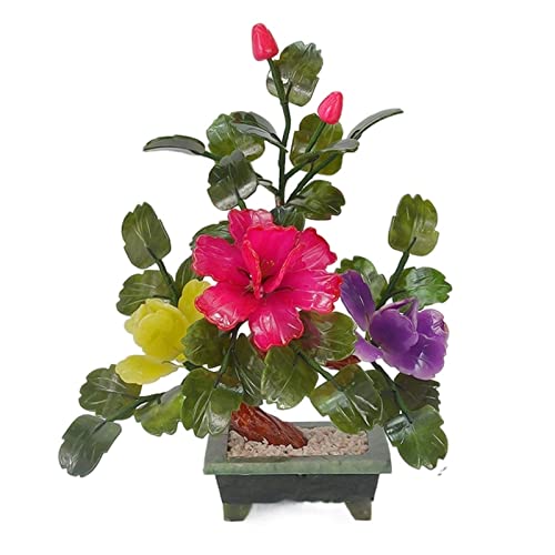 NX^c[ tH[`c[ ŐO A rO[  z[fR[V Mtg V~[Vc[ 12.6C` }l[c[,B