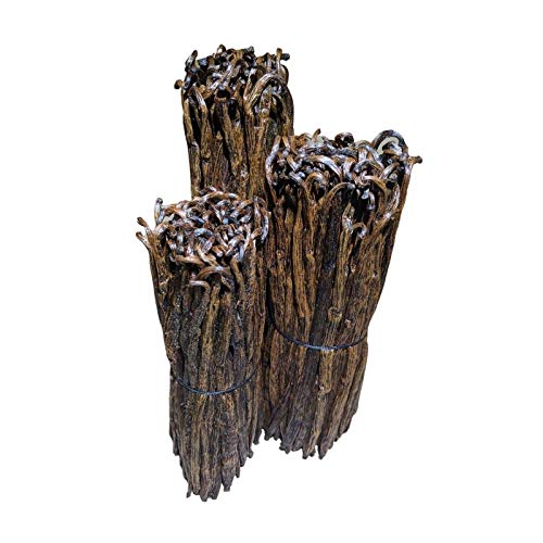 Stavoren Trading Co. - Grade B Madagascar Red Vanilla Beans - 1 Pound - 5-8 inches long - For Cooking, Baking, Homemade Extract and Paste - Freshly Picked, Dried, and Packed for Freshness