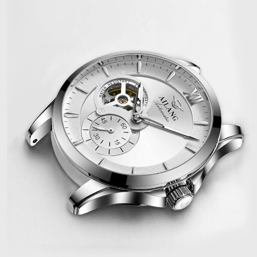 TEINTOP Ailang Series Men's Automatic Mechanical Watch with Steel Band