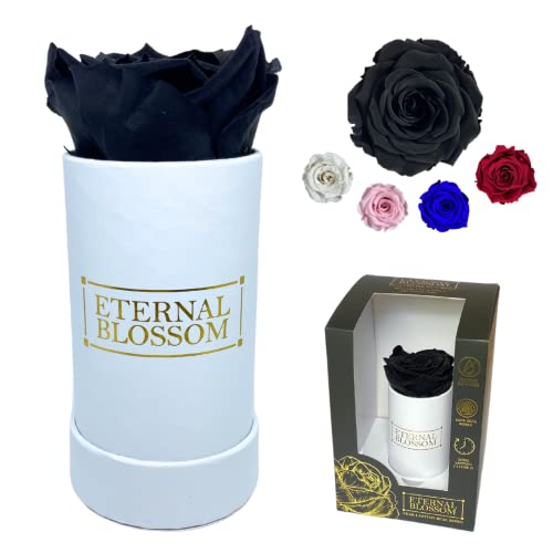 Eternal Blossom Preserved Real Infinity Rose, Midnight Black