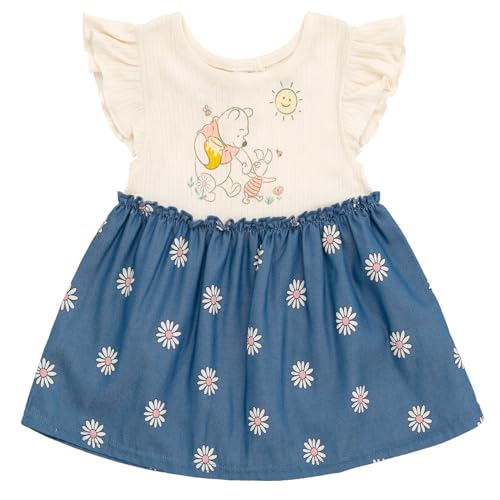 Disney Winnie The Pooh Floral Baby Girls Chambray Dress and Diaper Cover Outfit Set Newborn to Infant3