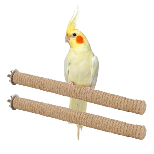 Hypeety o[hp[`X^h VR IE  [v p[` ANZT[ ~܂ ߋ  IE RSECR IE IE AtJO[ ZLZCCR CR 2 (25cm/9.84C`)