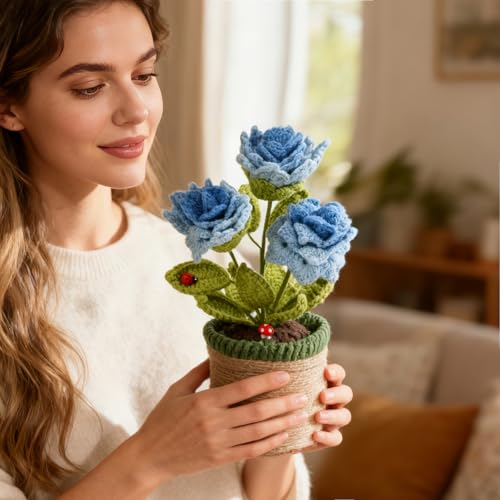 Plantes en pot en crochet bleu azur pour illuminer votre bureau et salon