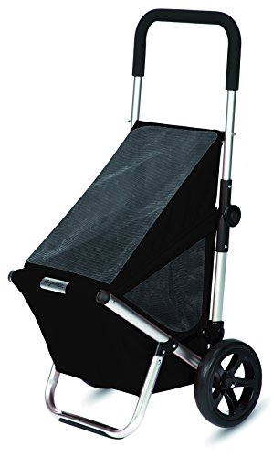 Carro Go Fun color negro