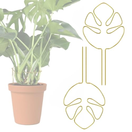 支柱 大きめ 園芸 2個セット 半円形 観葉植物 支柱 植物サポートリング 花ささえ 農業用 園芸用品 ガーデニング花支え支柱 28cm x 16cm【YOSHICA】