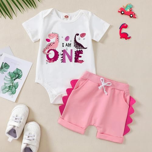 Toddler Baby Boy Girl Birthday Outfit Dinosaur Short Sleeve Romper/Shirt Shorts Set 1st-3rd Birthday Outfit2
