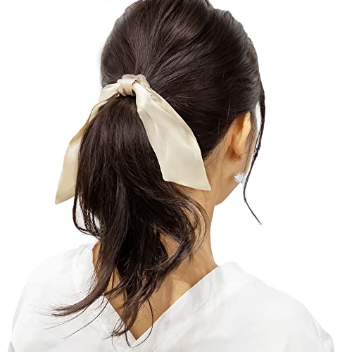 VV VN100% { wAANZT[ wAS l LbY  サ   킢  fB[X v`Mtg   ̓ a (x[W)