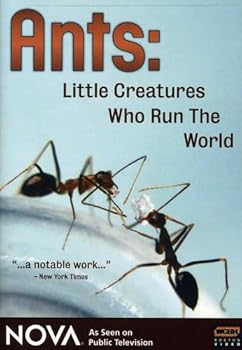 DVD NOVA: Ants - Little Creatures Who Run the World Book