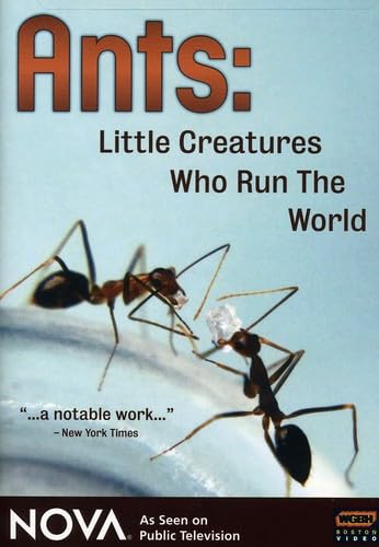 NOVA: Ants - Little Creatures Who Run the World NOVA: Ants - Little Creatures Who Run the World