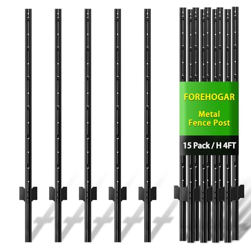 FOREHOGAR Black 4 Feet T Posts