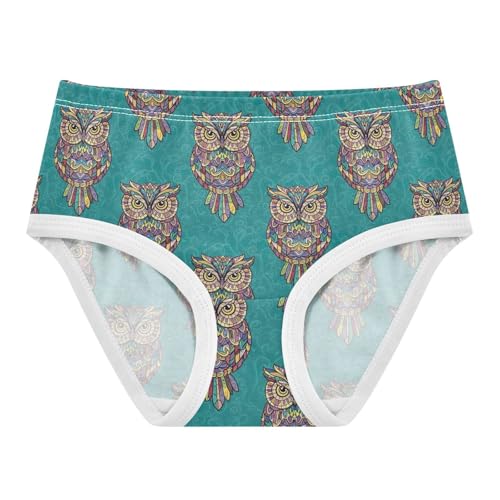 Joisal Colorful Owls Green Girls Underwear Toddlers 2t Cotton Little Girl Panties Animals Briefs Underpants