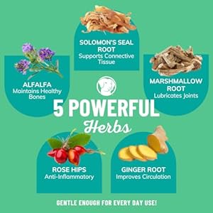 Fido's Mobility Bone Broth for Dogs - Grass-Fed Beef Bone Broth Powder & Organic Herbs - Joint Supplement for Dogs - Dog Food Topper for Dry Food - 60 Scoops Fidos Mobility Bone Broth for Dogs Grass Fed Beef Bone Broth Powder Organic Herbs Joint Supplement for Dogs Dog Food Topper for Dry Food 60 Scoops