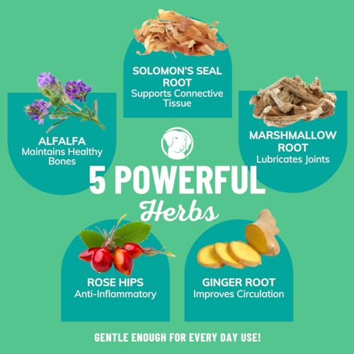 Fidos-Mobility-Bone-Broth-for-Dogs-Grass-Fed-Beef-Bone-Broth-Powder-Organic-Herbs-Joint-Supplement-for-Dogs-Dog-Food-Topper-for-Dry-Food-60-Scoops Fidos Mobility Bone Broth for Dogs Grass Fed Beef Bone Broth Powder Organic Herbs Joint Supplement for Dogs Dog Food Topper for Dry Food 60 Scoops