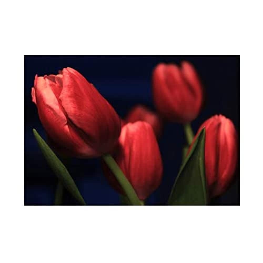 Wee Blue Coo Tulips Red Flowers Bloom Art Wall Art Print