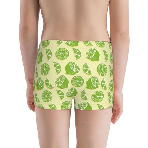 Boys' Cotton Boxer Brief Soft Underwear-Various Lemons3