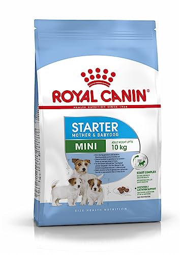 Royal Canin Shn Mini Starter Mother & Babydog Dry Dog Food Poultry 8 Kg
