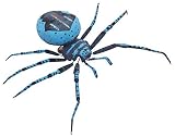 Magnétique Croix araignée bleu – Araignée, araignée, Halloween insectes magnétique aimant magnétique, gruselige Idée de Cadeau, Avril Blague, plaisanterie Objet 1er avril, ultra insecting, présente sympa pour Devise Soirées