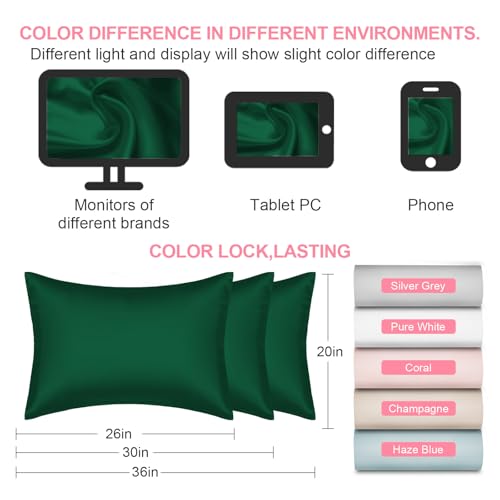 Mulberry Silk Pillow Cases 2 Pack King Size 20x36 Inches with Hidden Zipper, Ultra Smooth and Soft Breathable Cooling Silk Satin Pillowcase Set of 2, Better for Hair and Skin, Gifts for Women Men