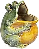 HANDIYA Skulptur Handwerkliche Skulptur Frosch Statuen Figuren Harz Tierskulpturen Kunstwerk Dekor für Wohnzimmertisch Garten Ornament Geschenk