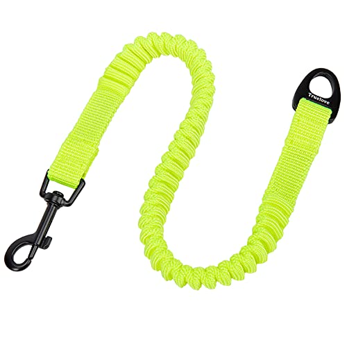 J&C Paradise [h WCg[h {KX p[h ^ ^ oW[[v y ϋv Lk e͐ Sy lC TRUELOVE (lICG[, L)