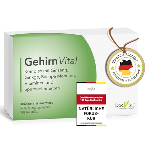 DocVital® Ginseng Ginkgo Brahmi Kapseln hochdosiert - Gehirn Vital Komplex für Gedächtnis, Fokus und Konzentration - Brain Booster - deutsches Qualitätsprodukt