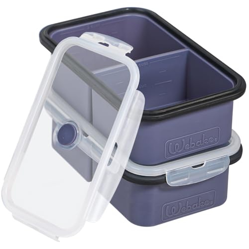 webake Recipientes de silicona para sopa del congelador con tapas, paquete de 2, 500 ml, bandejas de almacenamiento de alimentos para congelador, bandeja de cubitos de hielo extragrande jumbo para