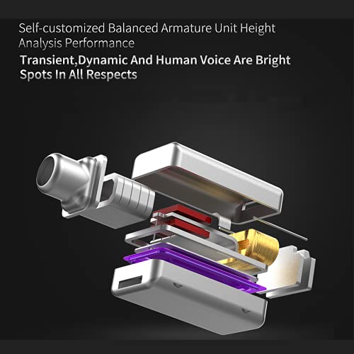 Yinyoo KZ ZS10 Pro in Ear Bass Buds Earphones Stereo Sound Hybrid Dynamic Driver Balanced Armature Earbuds Headphones Dual Driver 1DD 4BA Deep Bass Ergonomic Comfortable Earphones(Black no mic)