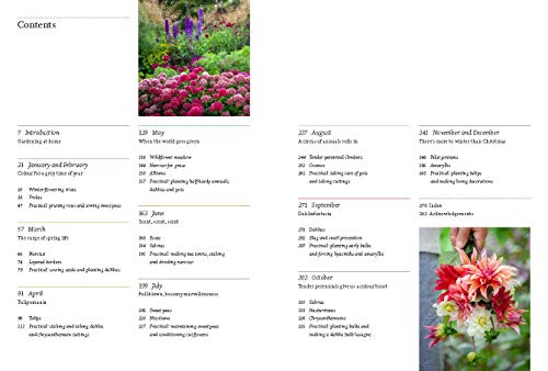 A Year Full of Flowers: Gardening for all seasons - Image 3
