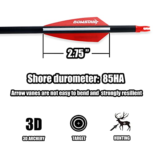 Bowsoul 30Inch Hunting Carbon Archery Arrows With 2.75” High Hardness Vanes Spine 400 For Compound Bow And Recurve Bow (Red White) #TOP1