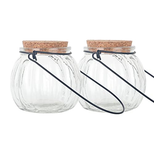 Magic Season Decorative Glass Jars (6 fl oz. Pumpkin Jar with Hanging...