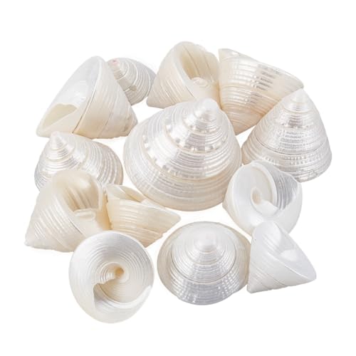 Creazione di gioielli con conchiglie:le conchiglie naturali possono essere utilizzate per realizzare specchietti di conchiglia, corone di conchiglie, ornamenti di conchiglie, artigianato in resine di conchiglie, personaggi di conchiglia e in cestini di conchiglie, accessori di abbigliamento, borse ornamenti decorativi, Portachiavi, gioielli, decorazioni di nozze, eccetera
