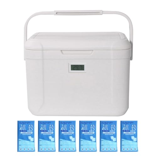 Nevera portátil de 5,5 l, recipiente térmico portátil de 3 capas para playa, viajes, trabajo y viajes por carretera
