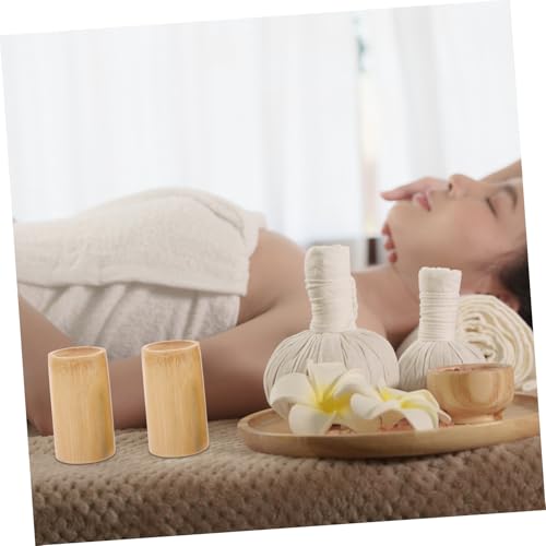 Ipetboom - 4 tazas de ventosa reutilizables para terapia muscular, kit versátil y duradero de ventosas chinas para tratamiento miniatura 4
