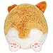 Squishable / Mini Baby Corgi - 7