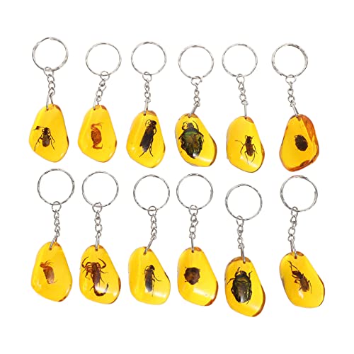 VILLCASE 12Pcs Amber Fossil Keychains Insectif Spécimen Porte- Clés Insectes Échantillons Porte- Clés Porte- Clés à Main Charme Pendentif pour Hommes Femmes Biologie Science Science Cover