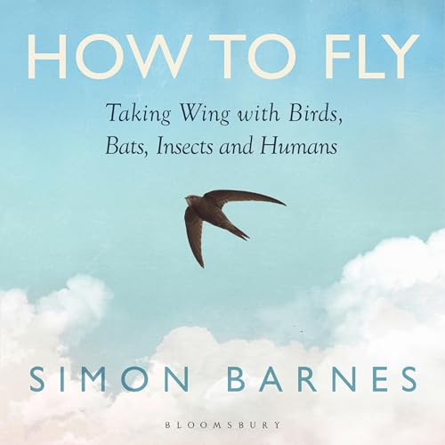 『How to Fly』のカバーアート