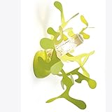  Mini Coral a lampada da parete, Metallo, Gold/Metall/Gehäuse Lackiert, Standard, G9