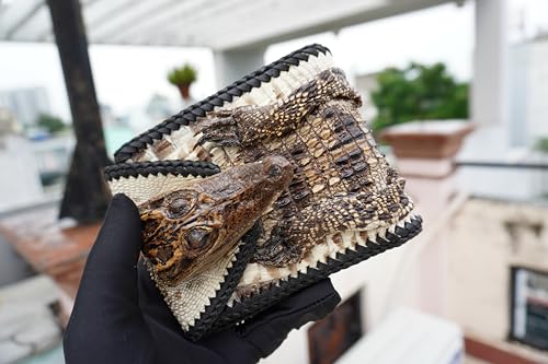 Natural Original Color Crocodile Alligator Genuine Leather Skin Men Bifold Wallet2