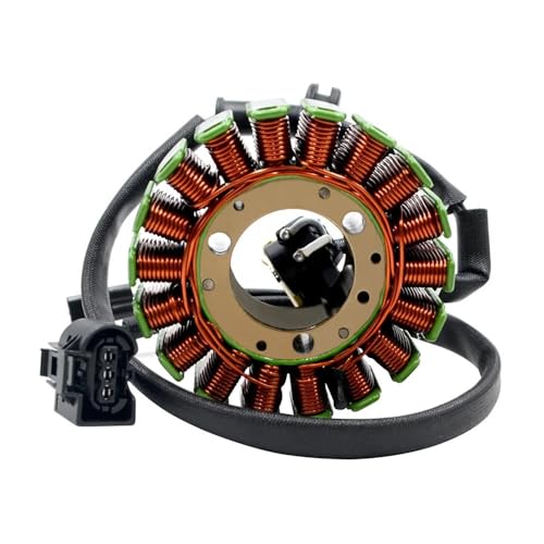 Bobine de stator G310GS G310R pour réparer l'allumage de votre moto