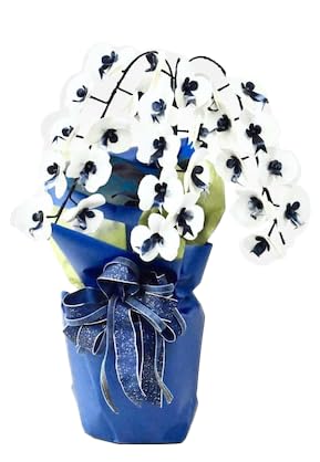 [デニム胡蝶蘭] -箔- 3本立ち