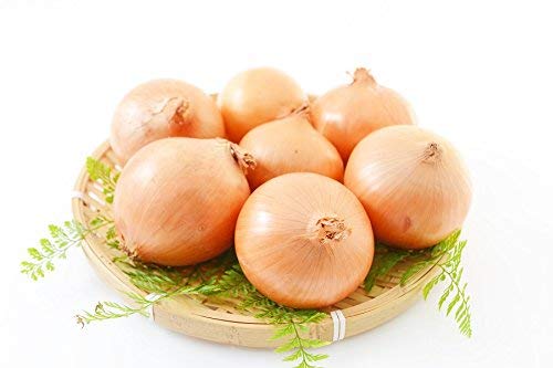 Cebolla'Amarillo Dulce Espanol' - dulce, cebolla ibérica - 1250 semillas