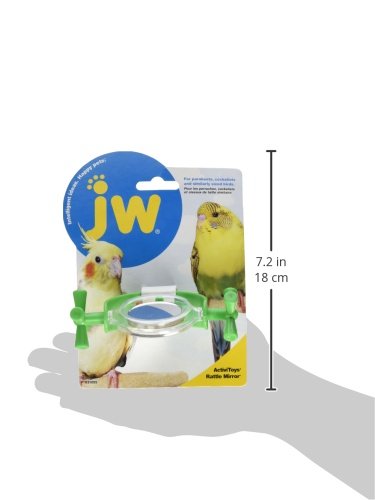 Jw Pet Company Activitoy Rattle Mirror Small Bird Toy, Colors Vary #TOP10