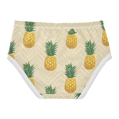 Wusikd Pineapple Geometric Girls' Underwear Cotton Girls Briefs Soft Toddler Underwear 2T2