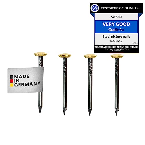 RiKaMa - 30 chiodi per quadri con lunghezza di 30 mm - chiodi in acciaio per cemento, mattoni, intonaco e legno Made in Italy
