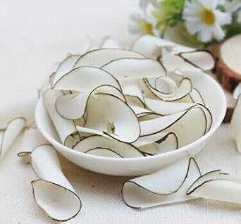 Dried Sea Coconut Slices Natural Sea Coconut 3oz 3oz