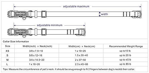 Blueberry Pet 3M Reflective Multi-Colored Stripe