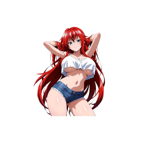 High School DxD Rias Gremory Collectible Colorful Vinyl Sticker Ideal for Home Decor Gaming Room...