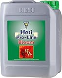 Hesi