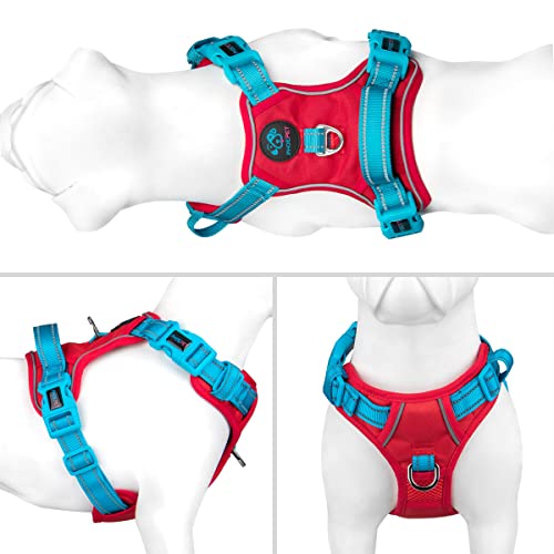 Phoepet No Pull Dog Harness, Unique Colors Reflective Adjustable Dog Vest, With Soft Training Handle Metal Clips For Small Medium Large Dogs (Red Base & Teal Straps,M) #TOP1